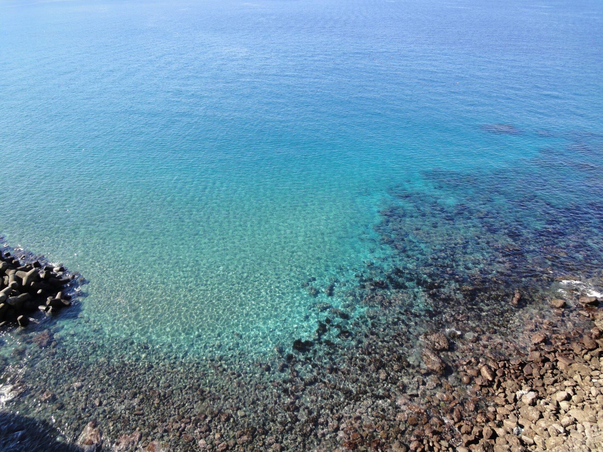 東伊豆の海